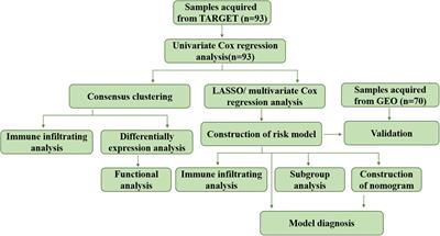 Expression of Lipid-Metabolism Genes Is Correlated With Immune Microenvironment and Predicts Prognosis in Osteosarcoma